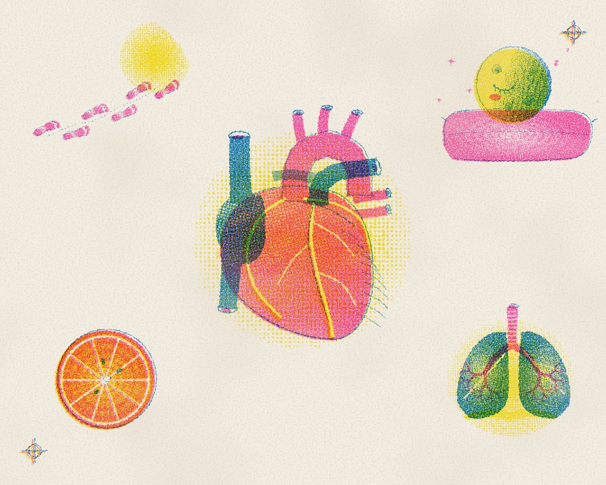 Riso prints of a heart, lungs, a sleeping moon, footprints and a citrus slice